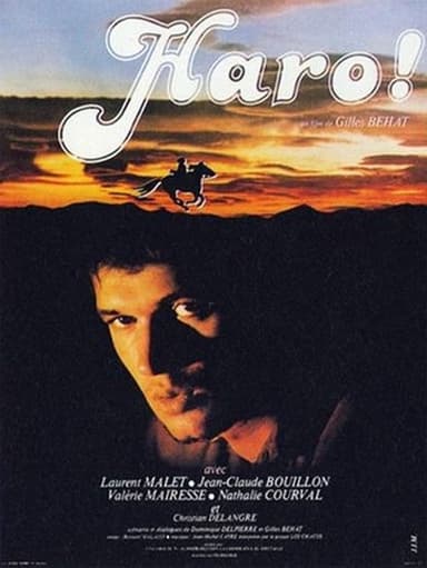 Hue and Cry poster
