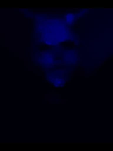 (R)eliving the (E)xecution of (M)yself poster