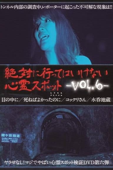 Absolutely Forbidden Haunted Spots Vol.6 poster