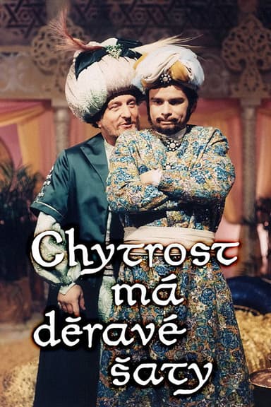 Chytrost má děravé šaty poster