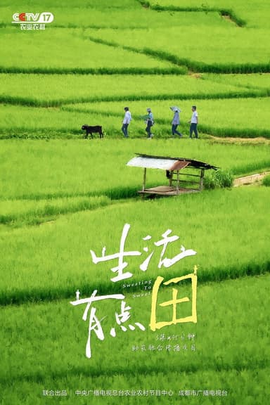 生活有点“田” poster