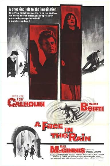 A Face in the Rain poster