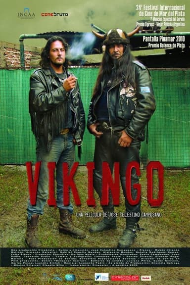 Vikingo poster