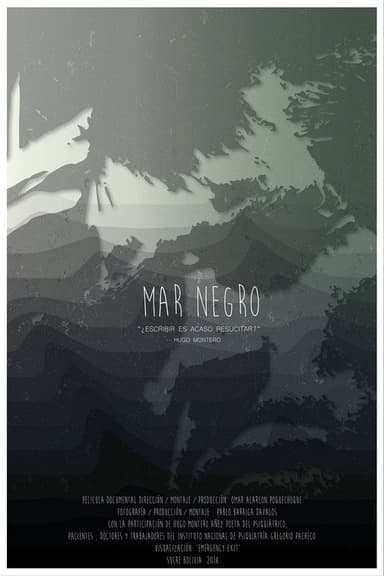 Black Sea poster