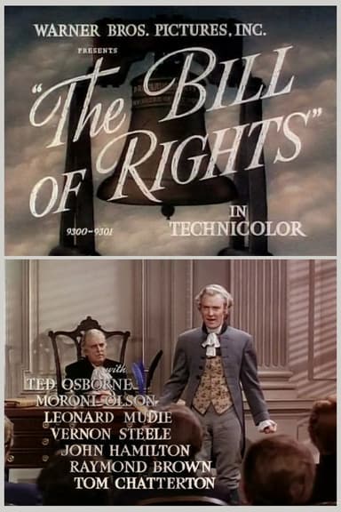 The Bill of Rights poster