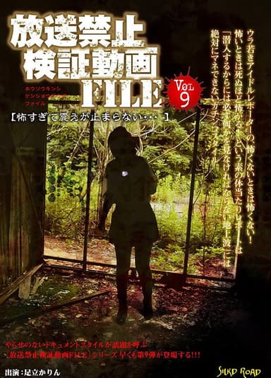 Banned Video File Vol. 9 poster