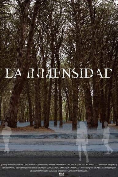 The Immensity poster