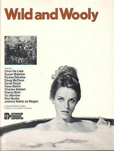 Wild and Wooly poster