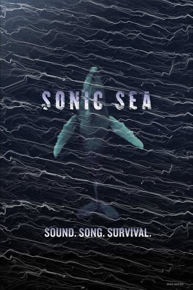 Sonic Sea poster