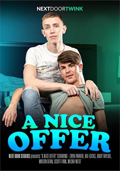 A Nice Offer poster