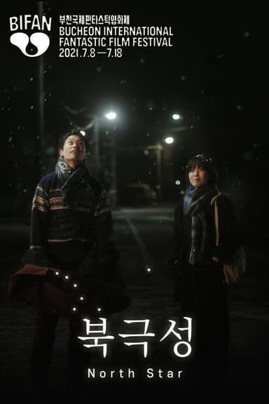 North Star poster