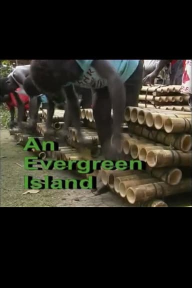 An Evergreen Island poster