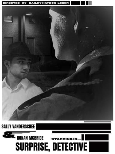 Surprise Detective poster
