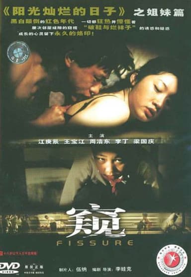 The Crack poster