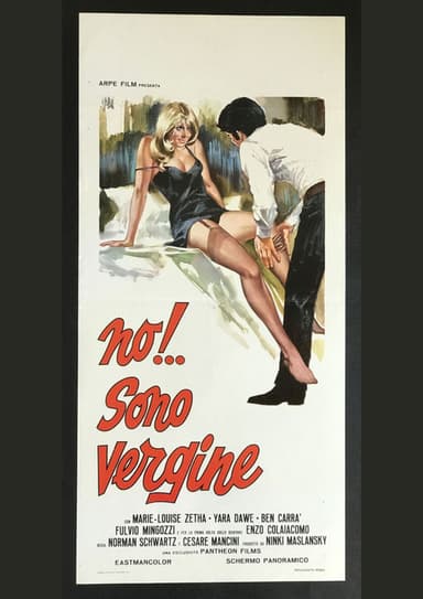 The Reluctant Virgin poster