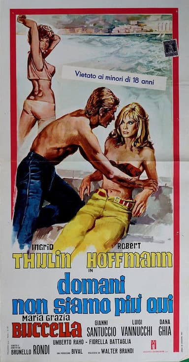 Domani non siamo piu' qui poster
