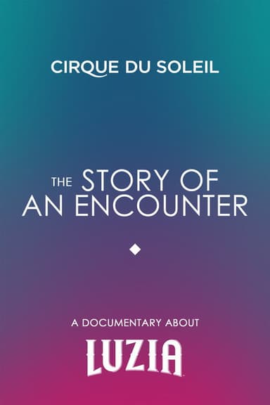 The Story Of An Encounter poster