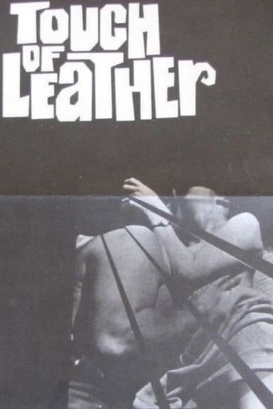 Touch Of Leather poster