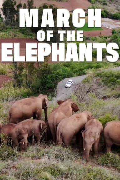 March of the Elephants poster