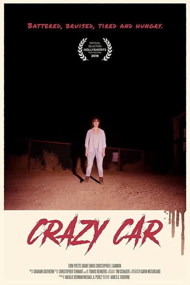 Crazy Car poster