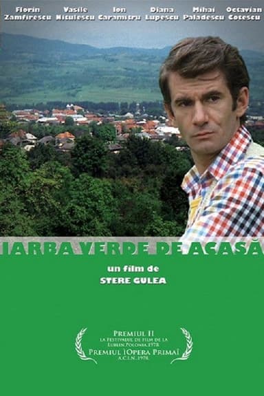 The Green Grass of Home poster