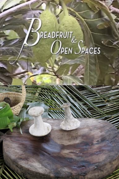 Breadfruit and Open Spaces poster
