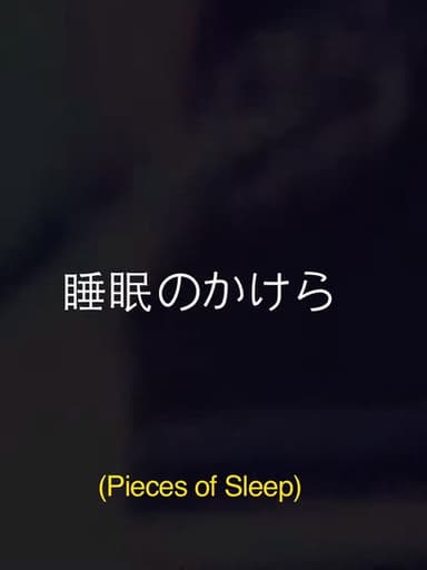Pieces Of Sleep: The 1993 Japan Tour Re-Imagined poster