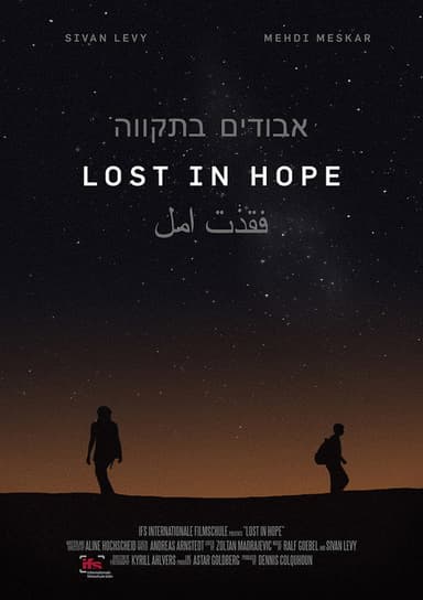 Lost in Hope poster