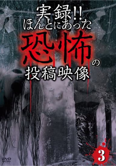 Actual Record! Real Horror Posted Video 3 poster