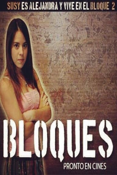 Bloques poster