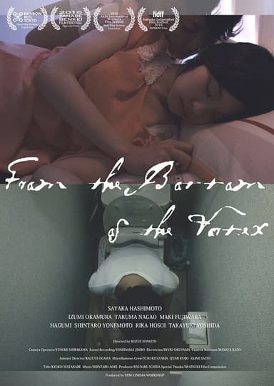 From the Bottom of the Vortex poster