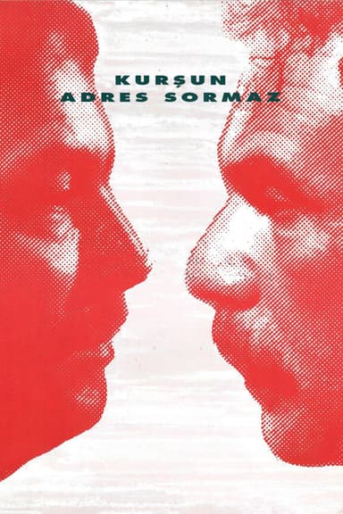 Kurşun Adres Sormaz poster