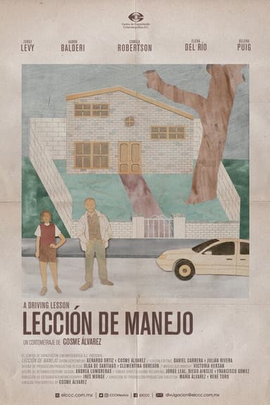 A Driving Lesson poster