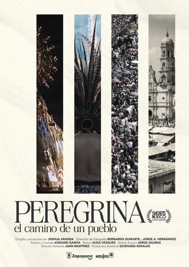 Pilgrim A people's journey poster