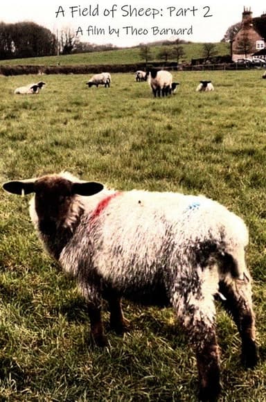 A Field of Sheep Part 2 poster