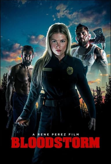 Bloodstorm poster