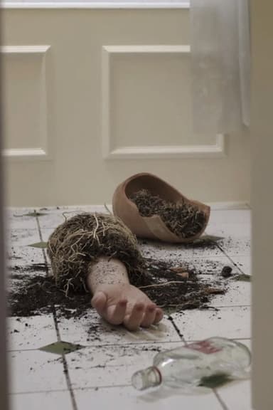 Seeds of Love poster