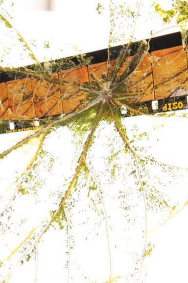Fallen Leaves Return to Film poster