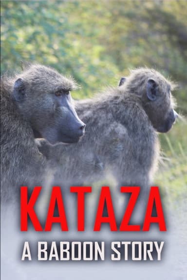 Kataza a Baboon Story poster