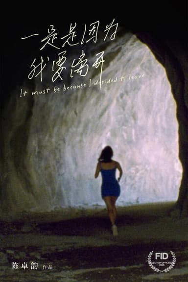 It Must Be Because I Decided to Leave poster