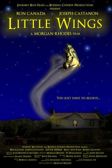 Little Wings poster