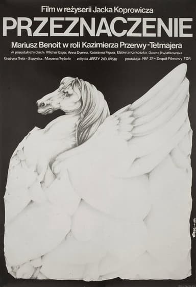Przeznaczenie poster