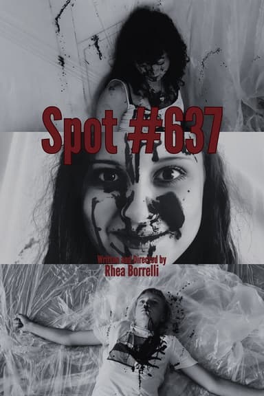 Spot #637 poster