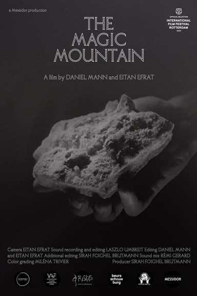 The Magic Mountain poster