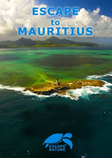 Escape to Mauritius poster
