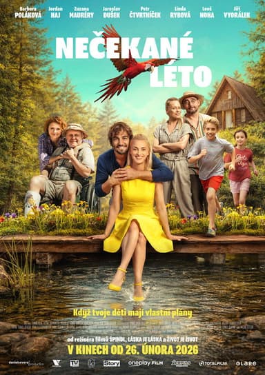 Nečekané léto poster