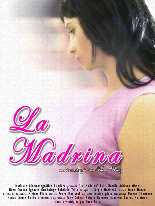 The Godmother poster
