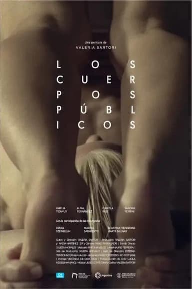 Public Bodies poster