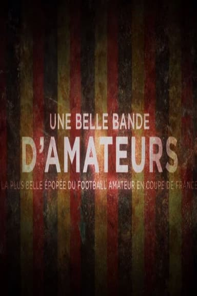 Une belle bande d'amateurs poster