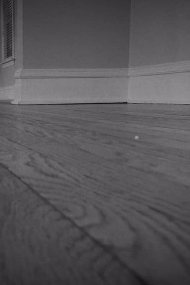 The House Is Empty poster